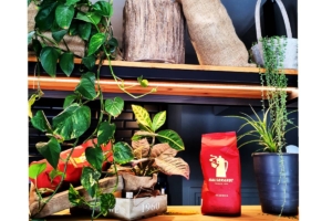 blackdrop-coffee-sl-3